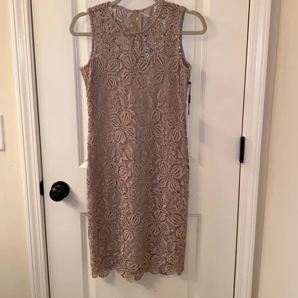 chinese dress ladies Calvin Klein Women's Petite Sleeveless Floral Lace Sheath with Illusion  Dress, White/White, 8 Petite: Buy Online at Best Price in UAE main image 0